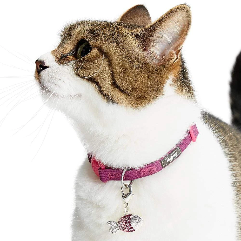 Stylish Cat Collar Accessory Set For Fashionable Felines 2 Stylish Cat Collar Accessory Set For Fashionable Felines - Image 2
