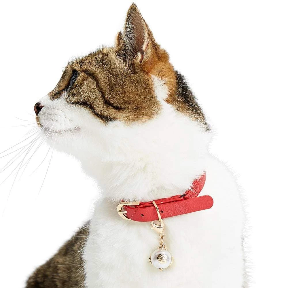 Stylish Cat Collar Accessory Set For Fashionable Felines 7 Stylish Cat Collar Accessory Set For Fashionable Felines - Image 7