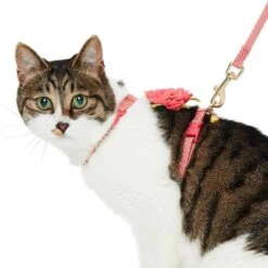Diagonal Striped Cat Leash & Harness Set For Cats
