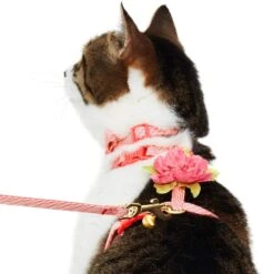Diagonal Striped Cat Leash & Harness Set For Cats -Dog & Cat Store 2030100008 3