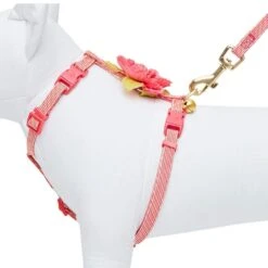 Diagonal Striped Cat Leash & Harness Set For Cats -Dog & Cat Store 2030100008 4