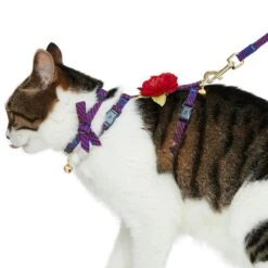 Diagonal Striped Cat Leash & Harness Set For Cats -Dog & Cat Store 2030100015 2