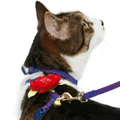 Diagonal Striped Cat Leash & Harness Set For Cats -Dog & Cat Store 2030100015 3