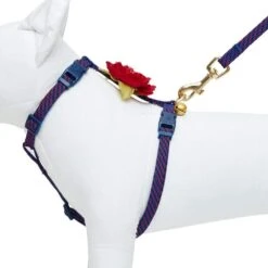 Diagonal Striped Cat Leash & Harness Set For Cats -Dog & Cat Store 2030100015 4