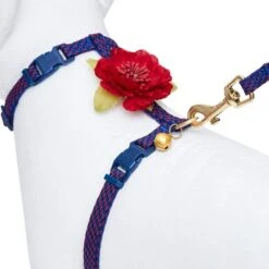 Diagonal Striped Cat Leash & Harness Set For Cats -Dog & Cat Store 2030100015 5