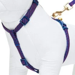 Diagonal Striped Cat Leash & Harness Set For Cats -Dog & Cat Store 2030100015 6