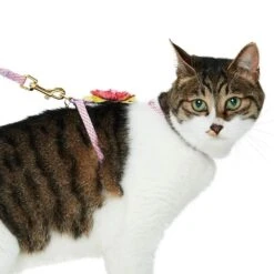 Diagonal Striped Cat Leash & Harness Set For Cats -Dog & Cat Store 2030100022 2