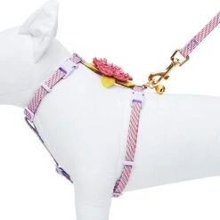 Diagonal Striped Cat Leash & Harness Set For Cats -Dog & Cat Store 2030100022 3