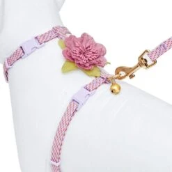 Diagonal Striped Cat Leash & Harness Set For Cats -Dog & Cat Store 2030100022 4