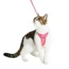 Reflective Cat Harness & Leash Set With Bell For Safety -Dog & Cat Store 2030103009 2 1