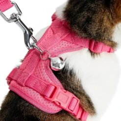 Reflective Cat Harness & Leash Set With Bell For Safety -Dog & Cat Store 2030103009 5