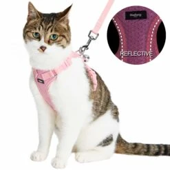 Reflective Cat Harness & Leash Set With Bell For Safety -Dog & Cat Store 2030104006 1 1