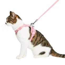 Reflective Cat Harness & Leash Set With Bell For Safety -Dog & Cat Store 2030104006 2 1