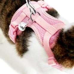 Reflective Cat Harness & Leash Set With Bell For Safety -Dog & Cat Store 2030104006 5