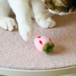 Handmade Wool Felt Cat Toy Set – 36 Piece Fruit Collection -Dog & Cat Store 22