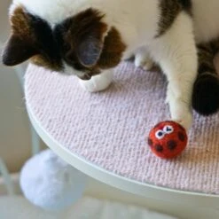 Handmade Wool Felt Cat Toy Set – 36 Piece Bakery Fun -Dog & Cat Store 34