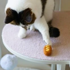 Handmade Wool Felt Cat Toy Set – 36 Piece Bakery Fun -Dog & Cat Store 35