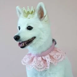 Cute Floral Lace Dog Collar Adjustable Accessory For Pets 33 Cute Floral Lace Dog Collar Adjustable Accessory For Pets -Dog & Cat Store 37