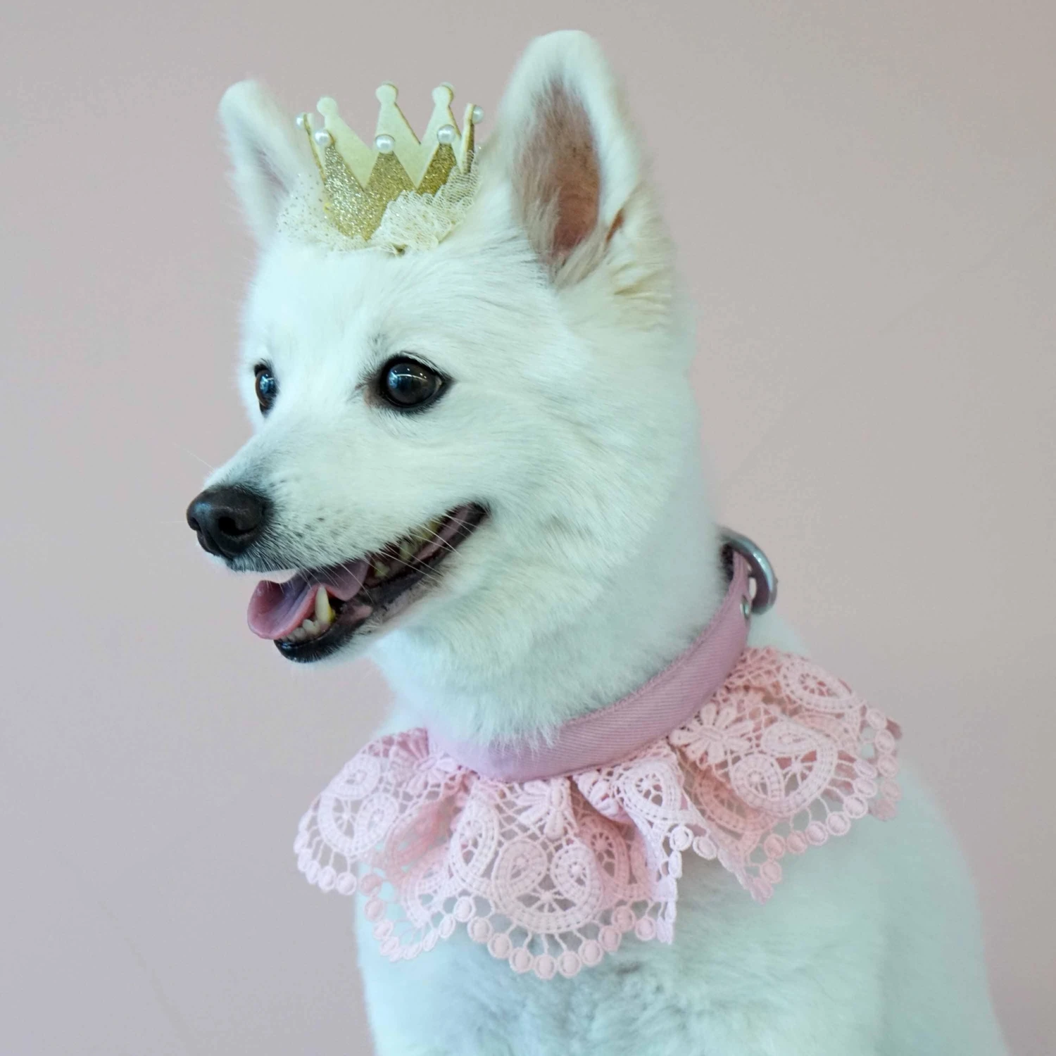 Cute Floral Lace Dog Collar Adjustable Accessory For Pets 14 Cute Floral Lace Dog Collar Adjustable Accessory For Pets - Image 14