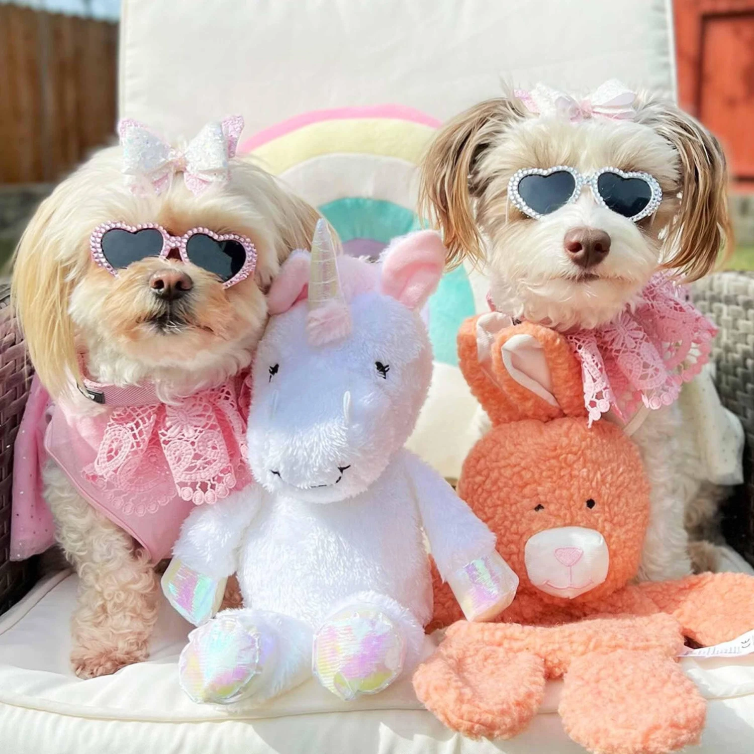 Cute Floral Lace Dog Collar Adjustable Accessory For Pets 13 Cute Floral Lace Dog Collar Adjustable Accessory For Pets - Image 13