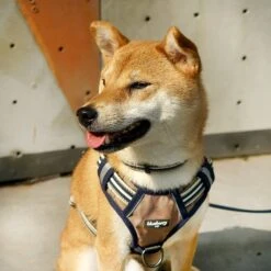 No Pull 3M Reflective Dog Harness Vest With Handle Stripes -Dog & Cat Store 3mharness 1