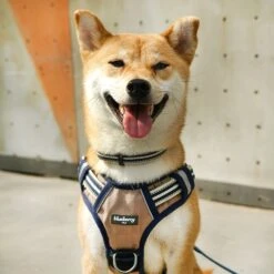 No Pull 3M Reflective Dog Harness Vest With Handle Stripes -Dog & Cat Store 3mharness 2