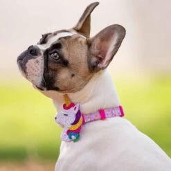 Flamingo Unicorn Dog Collar Tropical Hawaiian Palm Leaves -Dog & Cat Store 49 2