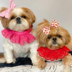 Cute Floral Lace Dog Collar Adjustable Accessory For Pets 39 Cute Floral Lace Dog Collar Adjustable Accessory For Pets -Dog & Cat Store 4 1