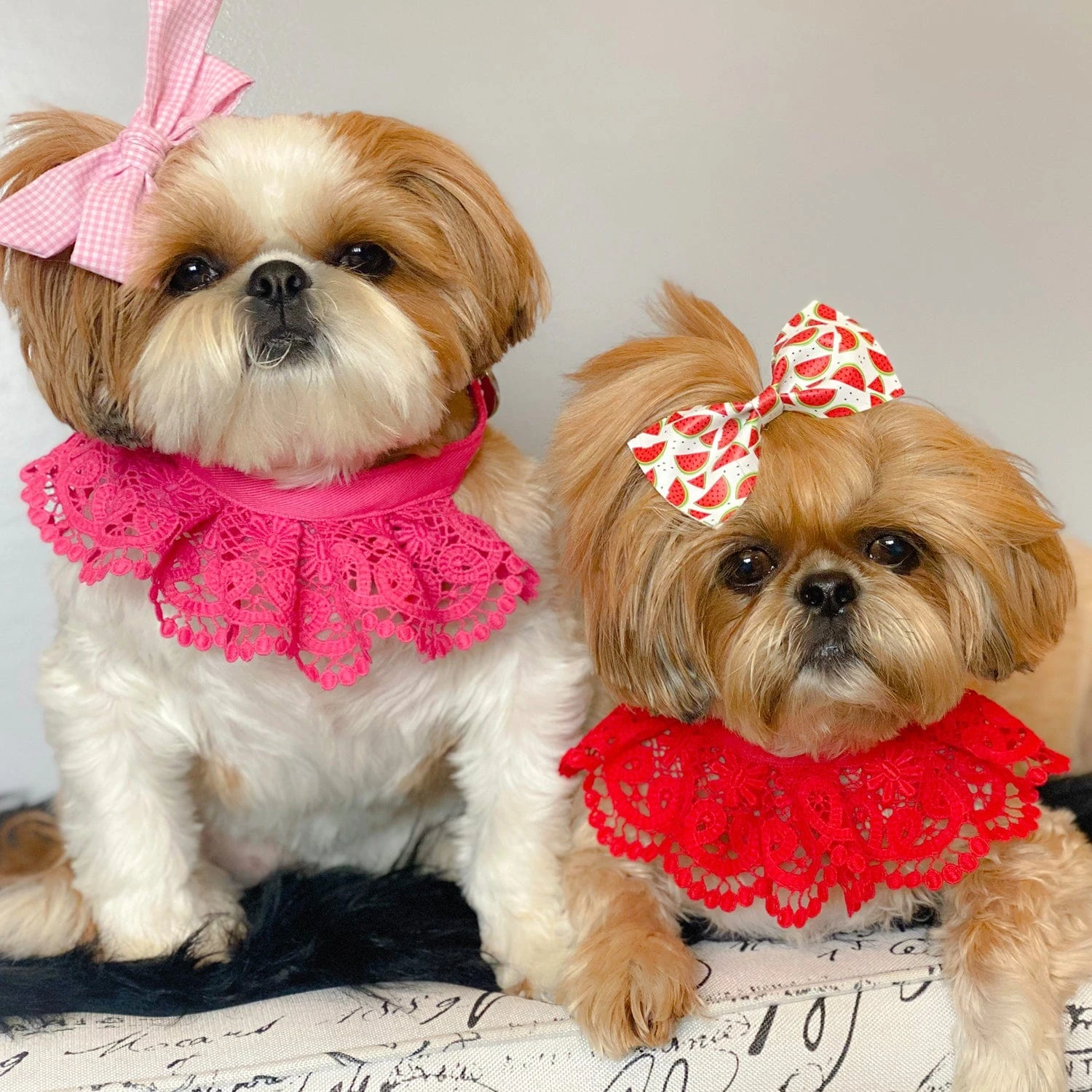 Cute Floral Lace Dog Collar Adjustable Accessory For Pets 20 Cute Floral Lace Dog Collar Adjustable Accessory For Pets - Image 20