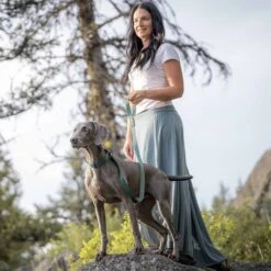 Classic Solid Color Matching Dog Collar And Leash Set -Dog & Cat Store 4 65d1cc6b 1bfd 4f3a a6cc e4f495228f09