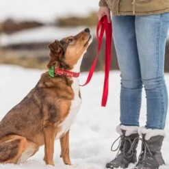 Christmas Dog Collar With Blingy Décor For Festive Style -Dog & Cat Store 6 2