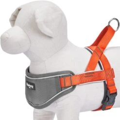 Easy On/Off Soft 3M Reflective Striped Dog Harness -Dog & Cat Store 61luNfHknAL. AC SL1000