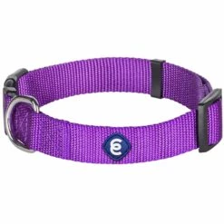 Classic Solid Color Adjustable Dog Collar, Purple Style -Dog & Cat Store 6911040131026 1