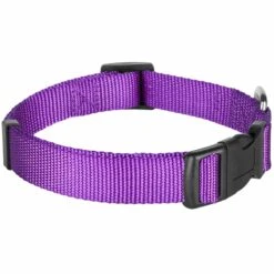 Classic Solid Color Adjustable Dog Collar, Purple Style -Dog & Cat Store 6911040131026 2