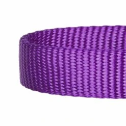 Classic Solid Color Adjustable Dog Collar, Purple Style -Dog & Cat Store 6911040131026 3