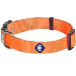 Classic Solid Color Adjustable Dog Collar, Yellow/Orange -Dog & Cat Store 6911040133020 1 f9989da1 c5ab 48de 8402 643995d0ffcb