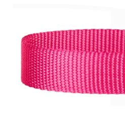 Classic Solid Color Adjustable Dog Collar, Pink/Red Design -Dog & Cat Store 6911040135024 3 f8f5dbb0 cda8 472c b40e bc5a0c56fe64