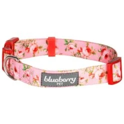 Petal Paws Floral Dog Collar For Stylish Pets -Dog & Cat Store 6911040232020 1