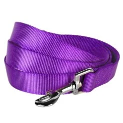 Classic Solid Color Dog Leash, Purple For Stylish Walks -Dog & Cat Store 6911050131023 1