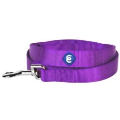 Classic Solid Color Dog Leash, Purple For Stylish Walks -Dog & Cat Store 6911050131023 2