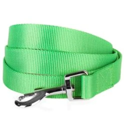 Classic Solid Color Dog Leash, Green/Yellow For Pets 10 Classic Solid Color Dog Leash, Green/Yellow For Pets -Dog & Cat Store 6911050132020 1 2a509b81 fbfb 4cad 8d44 49f3aebadcbe
