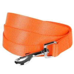 Classic Solid Color Dog Leash, Yellow/Orange For Pets -Dog & Cat Store 6911050133027 1 fe0cb7d0 f774 439e bfc3 c6d370782347