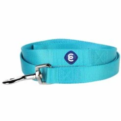 Classic Solid Color Dog Leash, Blue For Everyday Use 25 Classic Solid Color Dog Leash, Blue For Everyday Use -Dog & Cat Store 6911050134024 2 6ac6bf5b b96e 42e3 bfb1 1dc676115bb1