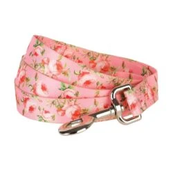Petal Paws Floral Dog Leash For Stylish Dog Owners -Dog & Cat Store 6911050230023 1