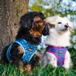 Southwestern Tribal Dog Harness Vest For Stylish Pets -Dog & Cat Store 8 1