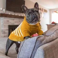 Cozy Soft Chenille Classy Striped Dog Sweater For Pets 22 Cozy Soft Chenille Classy Striped Dog Sweater For Pets -Dog & Cat Store 8 2
