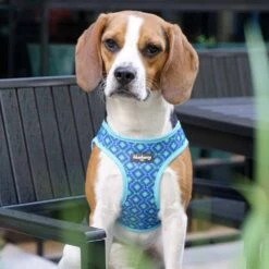 Southwestern Tribal Dog Harness Vest For Stylish Pets -Dog & Cat Store 8 3