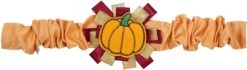 Fall Pumpkin Thanksgiving Dog Collar Cover Accessory For Pets 8 Fall Pumpkin Thanksgiving Dog Collar Cover Accessory For Pets -Dog & Cat Store 81o8hs 0 7L. AC SL1500 a13358b0 94a9 4872 a887 2e9271a5b791