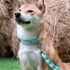 Iconic Hand Braided Double-Weave Dog Rope Leash 4 Ft -Dog & Cat Store 96 1 8a3c8c2d e80a 4b61 a41d 06c7ca6d690e