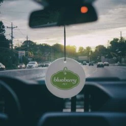 6 Pack Car Air Fresheners, Ocean Green Forest Cherry Blossom -Dog & Cat Store BBPDACCP00147GNG2 2 9b075610 edec 47f3 8980 c86e1dfcb055